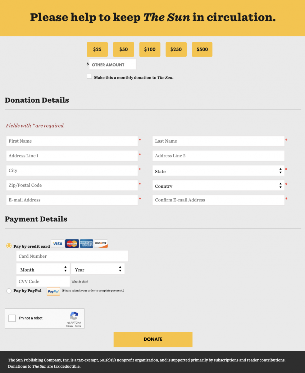 Screenshot of a short donation form featuring the amount being donated, donation details, and payment details