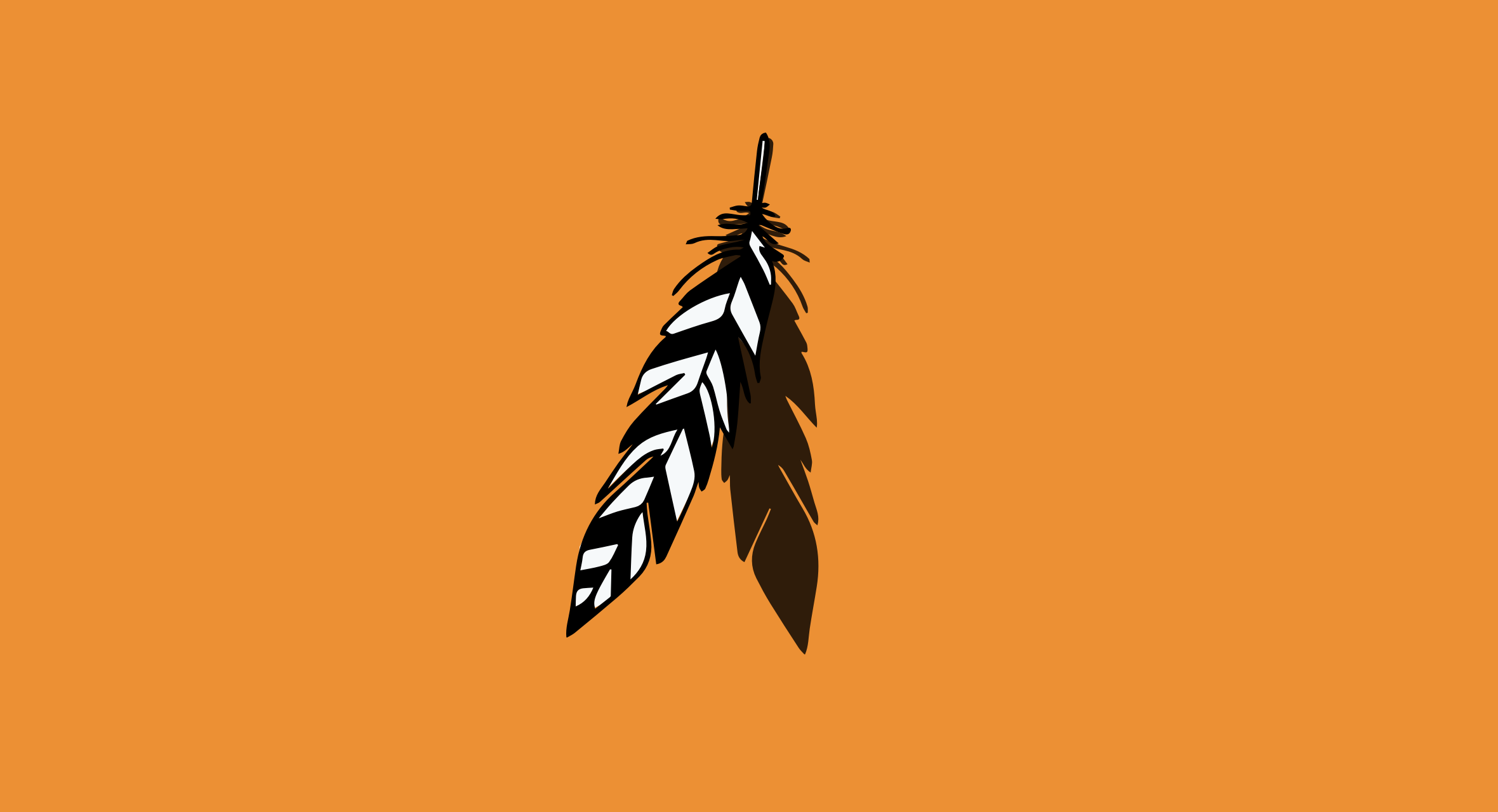 dual feather graphic on an orange background